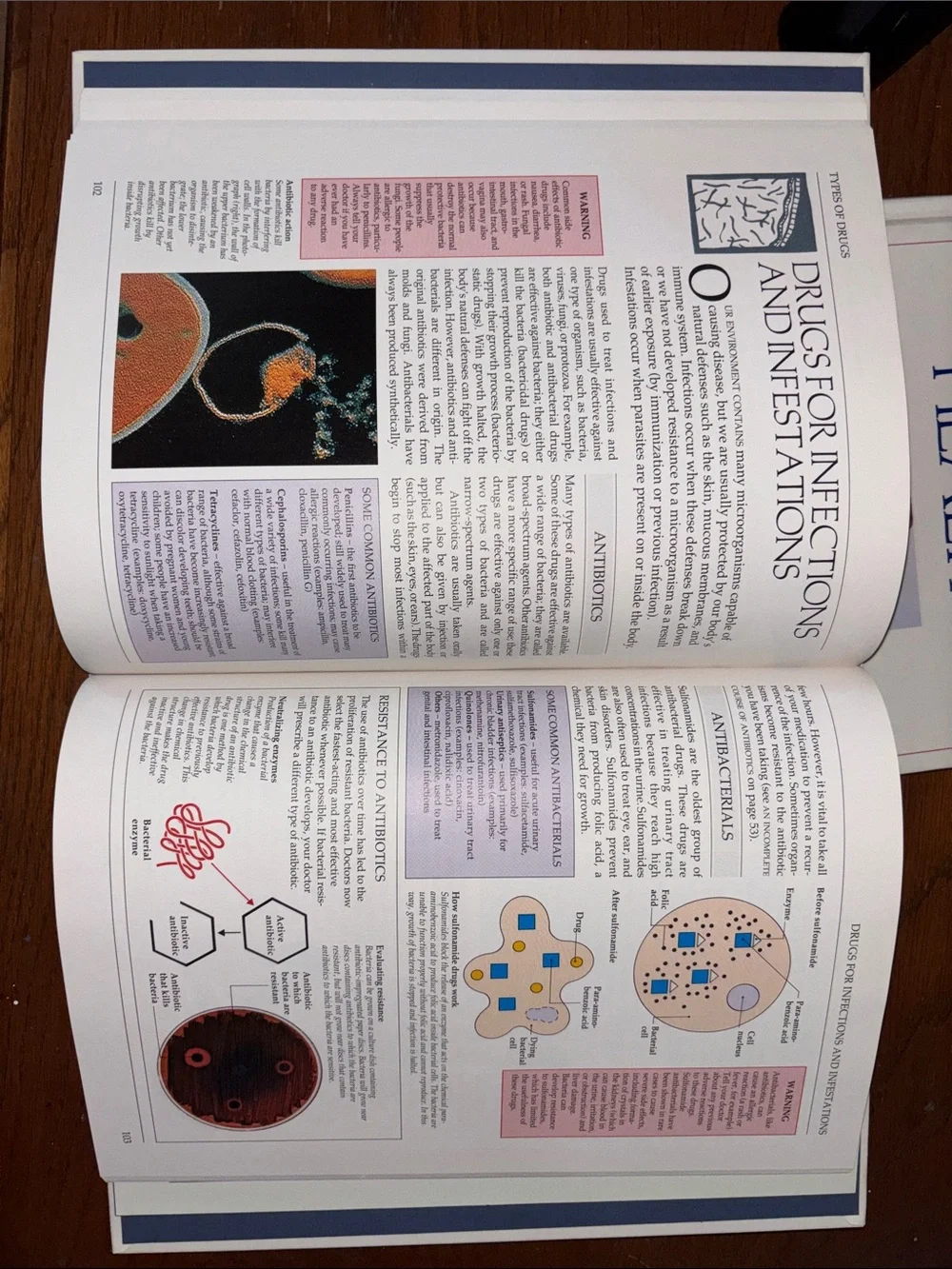 Monitoring Your Health and Know Your Drugs and Medications (White) Textbooks